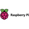 Raspberry pi